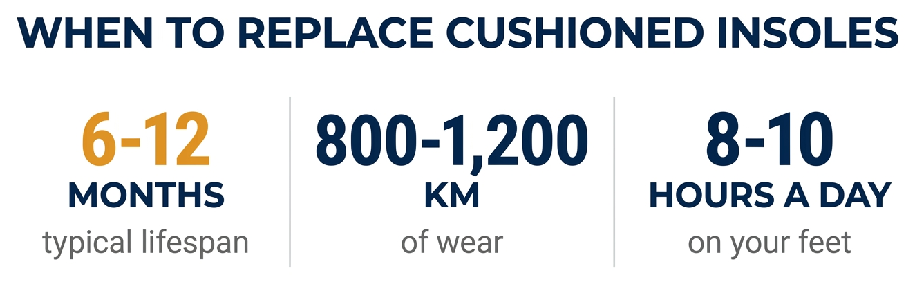 Infographic showing when to replace cushioned insoles: a typical lifespan of 6 to 12 months, around 800 to 1,200 km of wear, at roughly 8 to 10 hours a day on your feet