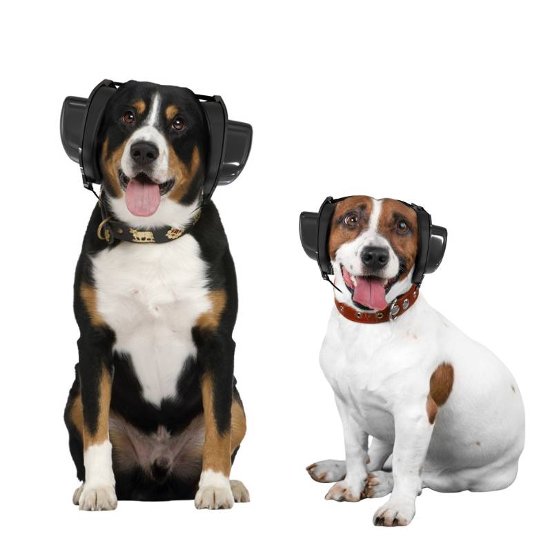 BOLLSEN Dog+ hearing protection - noise-reducing earmuffs for dogs during fireworks